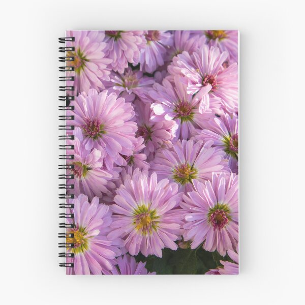 Item preview, New york aster flower designed and sold by Luka Šper.