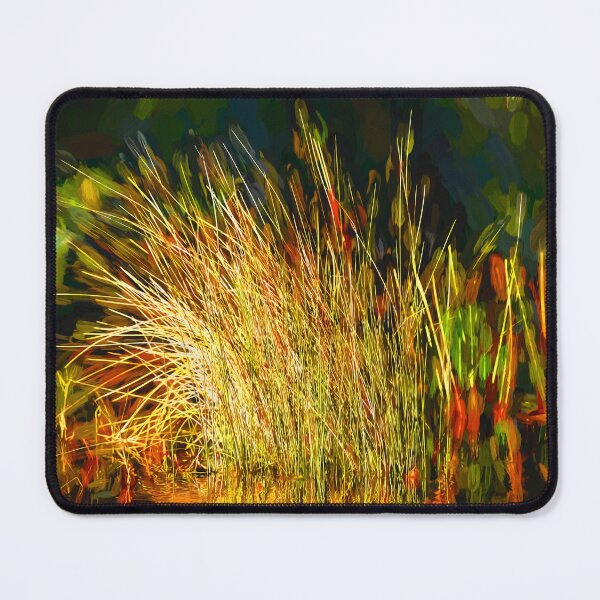 Item preview, Sunlight on Grass Merritt Island NWR X100 designed and sold by RichFrancoCars.