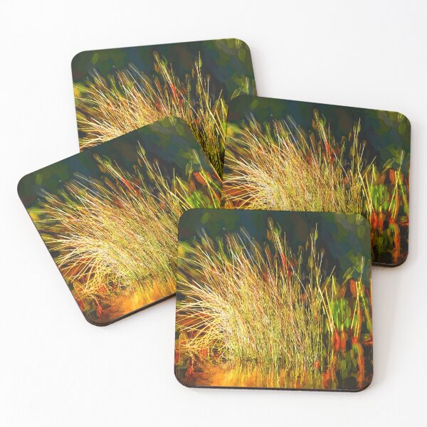 Item preview, Sunlight on Grass Merritt Island NWR X100 designed and sold by RichFrancoCars.