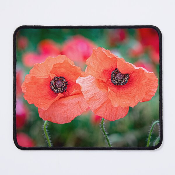 Item preview, Poppies in the Wind – A Symbol of Remembrance designed and sold by Karen Dore Art & Photography.