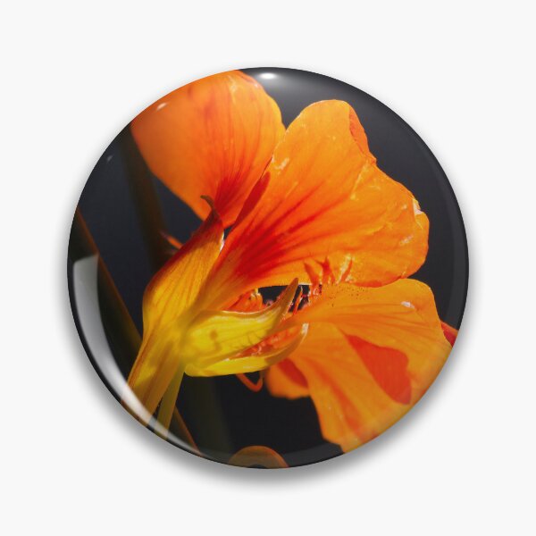 Item preview, November Nasturtium designed and sold by alanathrower.