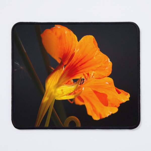 Item preview, November Nasturtium designed and sold by alanathrower.