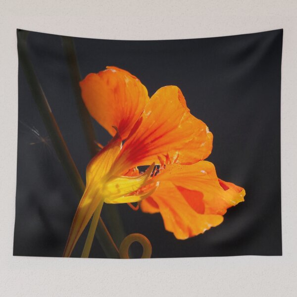 Item preview, November Nasturtium designed and sold by alanathrower.