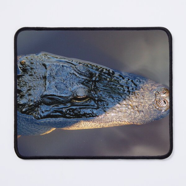 Item preview, Alligator designed and sold by Parks and X.