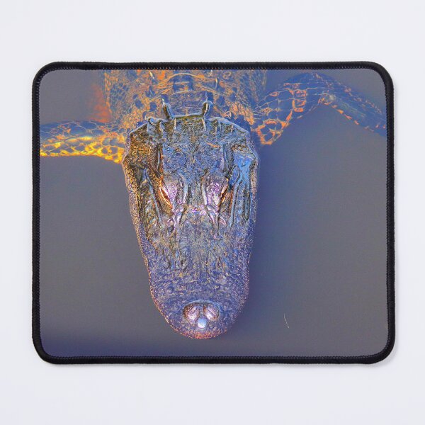 Item preview, Alligator designed and sold by Parks and X.