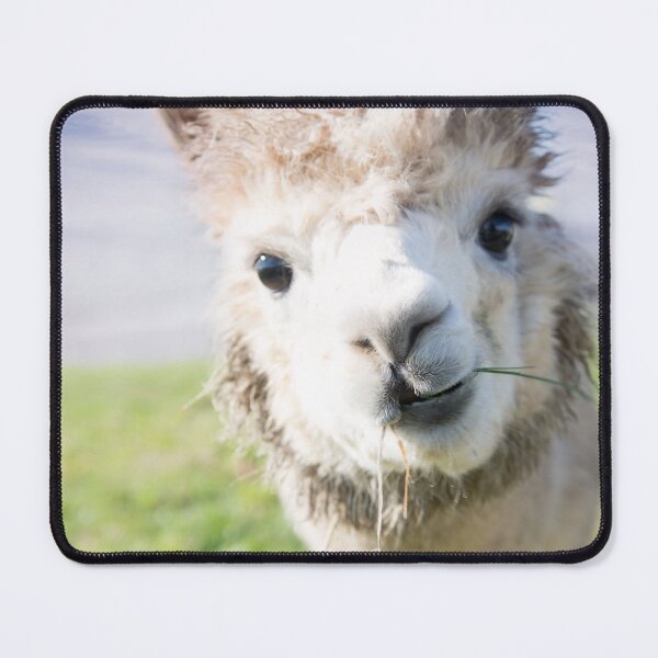 Item preview, Cute Alpaka #1 #animal #nature designed and sold by Anita's & Bella's Art.