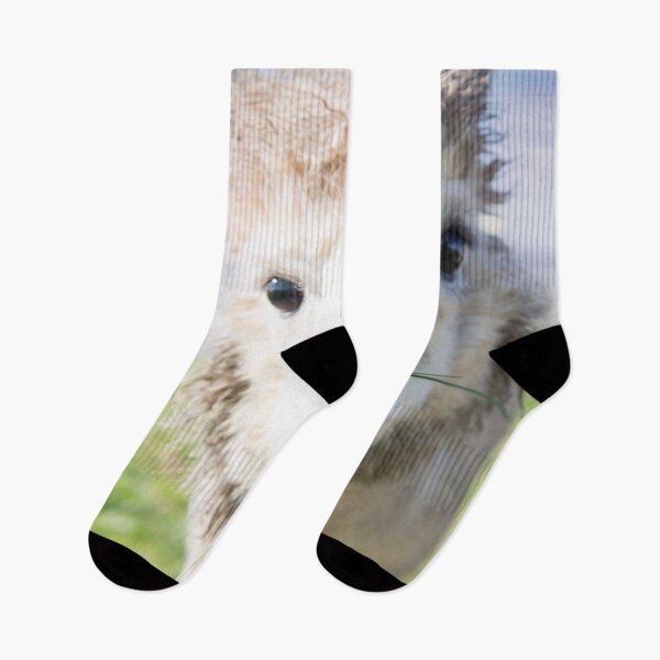 Item preview, Cute Alpaka #1 #animal #nature designed and sold by Anita's & Bella's Art.