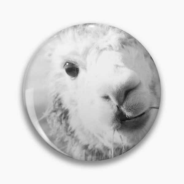 Item preview, Cute Alpaka bw #1 #animal #nature designed and sold by Anita's & Bella's Art.