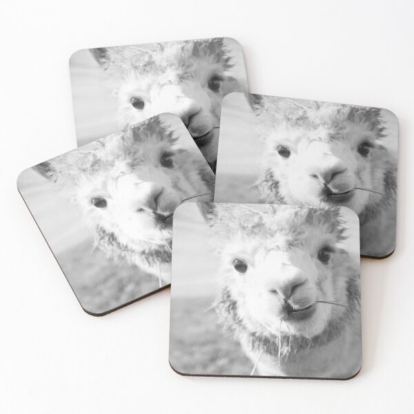 Item preview, Cute Alpaka bw #1 #animal #nature designed and sold by Anita's & Bella's Art.
