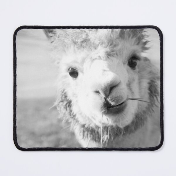 Item preview, Cute Alpaka bw #1 #animal #nature designed and sold by Anita's & Bella's Art.