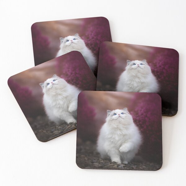 Item preview,  Enchanting Blue-Eyed Ragdoll Cat designed and sold by MrGreenDragon.