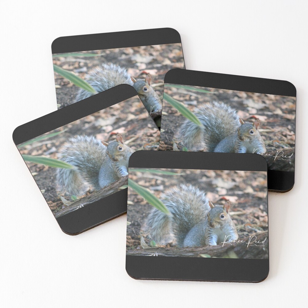 Item preview, Coasters (Set of 4) designed and sold by RREID84.
