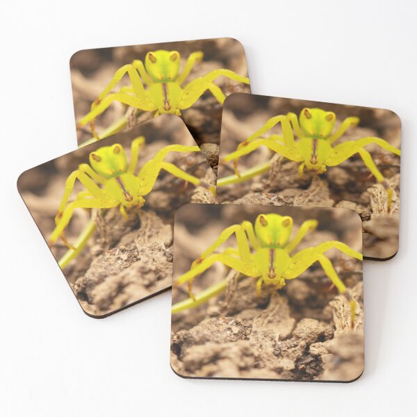 Item preview, Red-tipped Crab Spider designed and sold by robdwildlife.