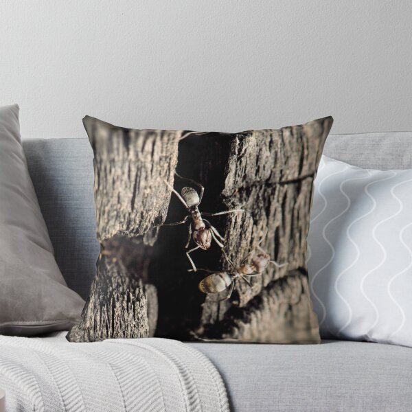 Item preview, Brown Tyrant Ant designed and sold by robdanimalphotography.