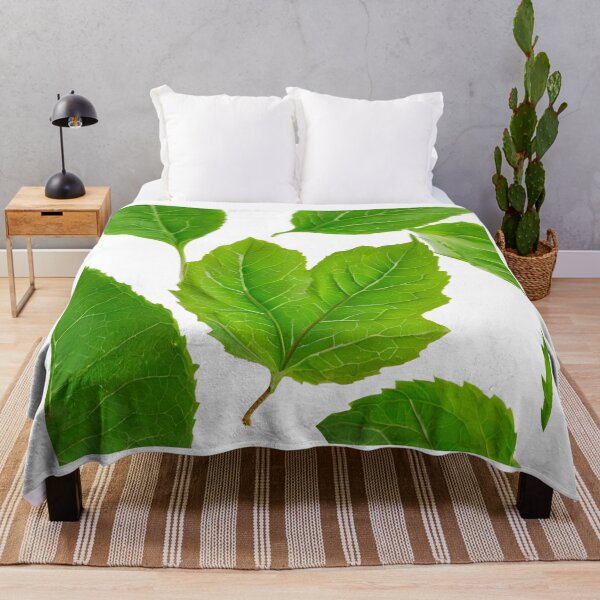 Item preview, A close up of a leaf with a white background designed and sold by PWDigitalArt.