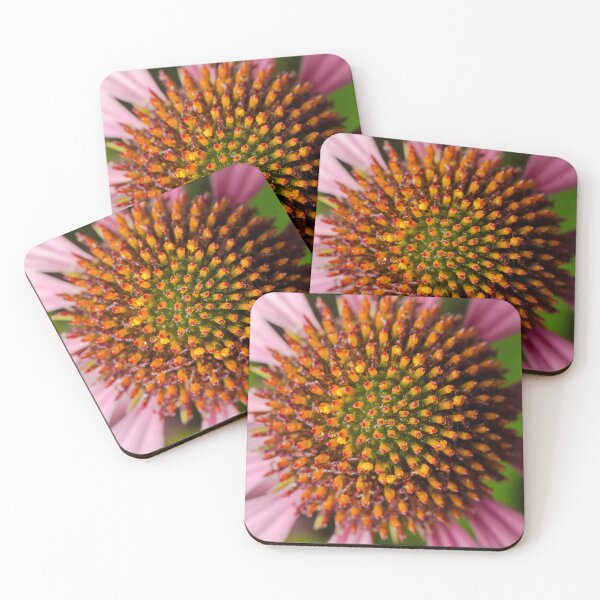 Item preview, Purple Coneflower designed and sold by robdwildlife.