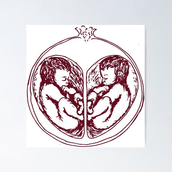 Persephone Twins Illustration - pomegranate with twin babies in a heart Poster