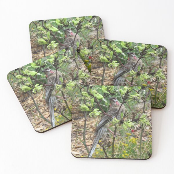 Item preview, Red Wattlebird in Black Kangaroo Paw designed and sold by diflyhi.