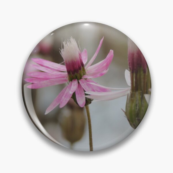 Item preview, Pink Everlasting designed and sold by diflyhi.