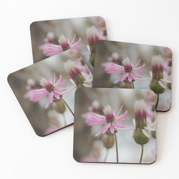 Item preview, Pink Everlasting designed and sold by diflyhi.