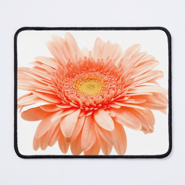 Item preview, Pink gerbera designed and sold by troianifabrizio.