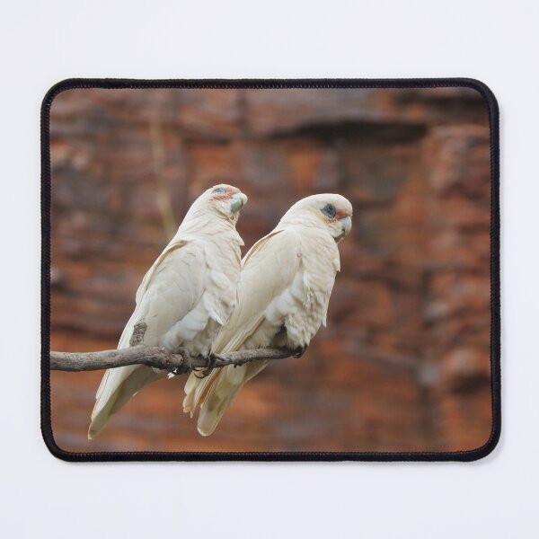 Item preview, White Parrots in Dales Gorge, Karajini designed and sold by diflyhi.