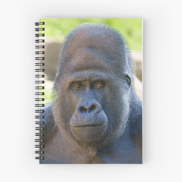 Item preview, Silverback Power Defined in Profile designed and sold by rawshutterbug.