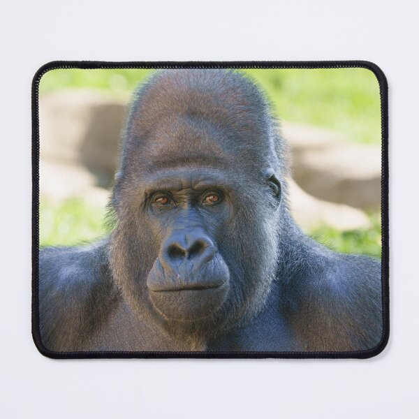 Item preview, Silverback Power Defined in Profile designed and sold by rawshutterbug.