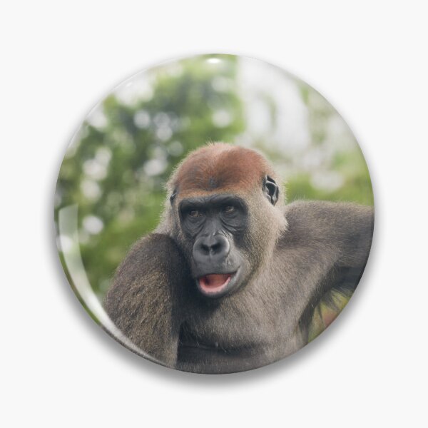 Item preview, Watchful Eye of the Gorilla designed and sold by rawshutterbug.