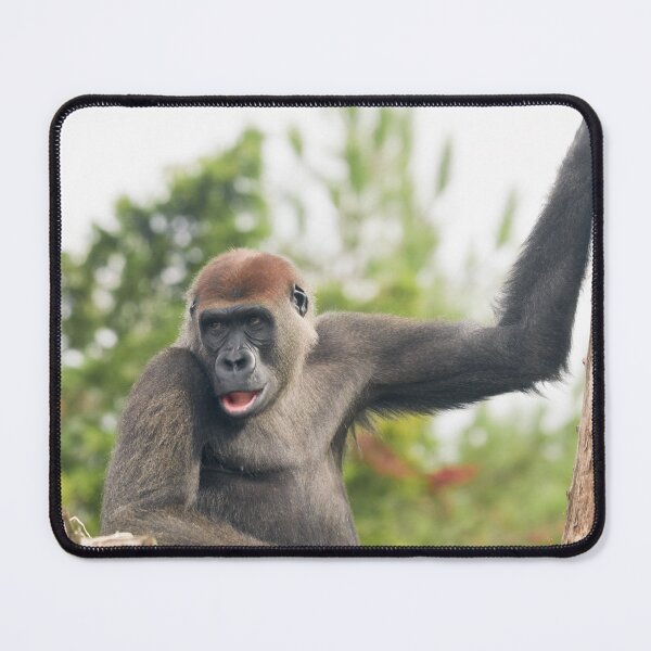 Item preview, Watchful Eye of the Gorilla designed and sold by rawshutterbug.