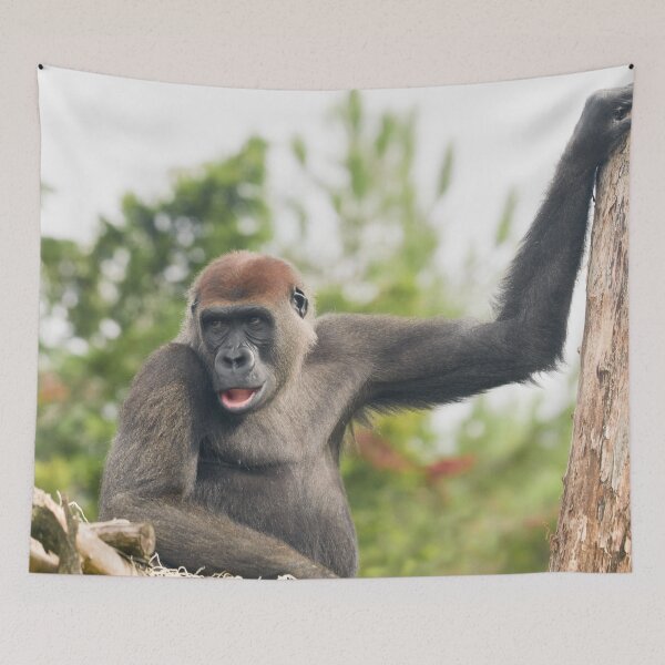 Item preview, Watchful Eye of the Gorilla designed and sold by rawshutterbug.