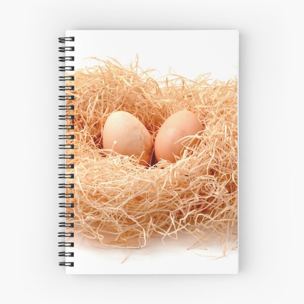Item preview, Eggs in a straw nest designed and sold by troianifabrizio.