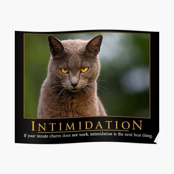 Intimidation Poster