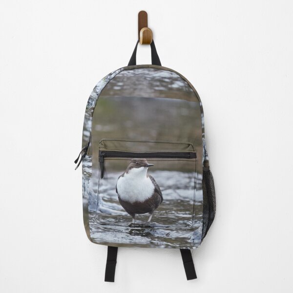Item preview, Life in a stream. White-throated dipper designed and sold by Jouko Lehto Photography.