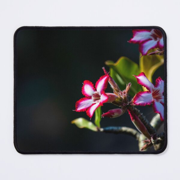 Item preview, African Lily Flower designed and sold by Alison Lee Rubie.