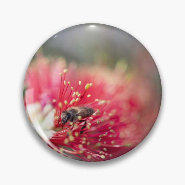 Item preview, Bright Bottlebrush with a Bee designed and sold by imaginethis.