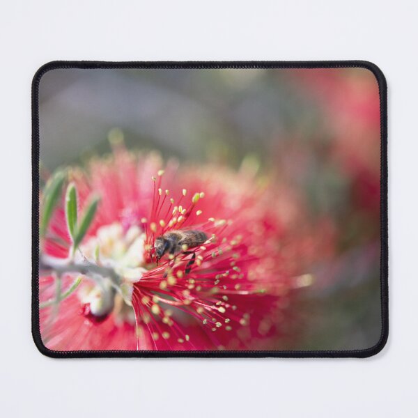 Item preview, Bright Bottlebrush with a Bee designed and sold by imaginethis.