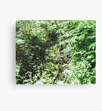 Green Water Canvas Print