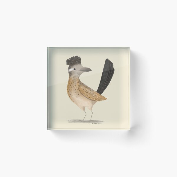 Item preview, Greater Roadrunner designed and sold by julianamotzko.