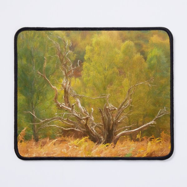 Item preview, Autumn woodland digital oil painting designed and sold by RobThorley.