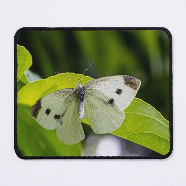 Item preview, Butterfly On Leaves Summertime Sights (Photography) designed and sold by RealmOfImages.