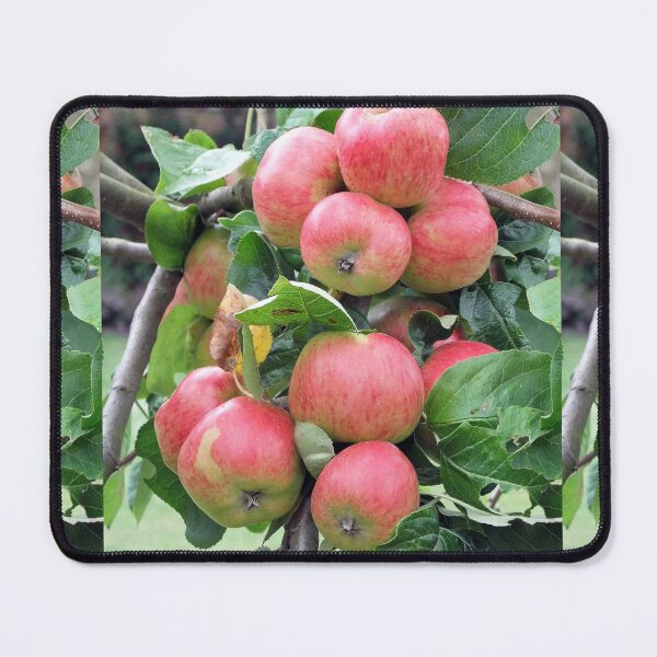 Item preview, Red Apples designed and sold by pinkal.