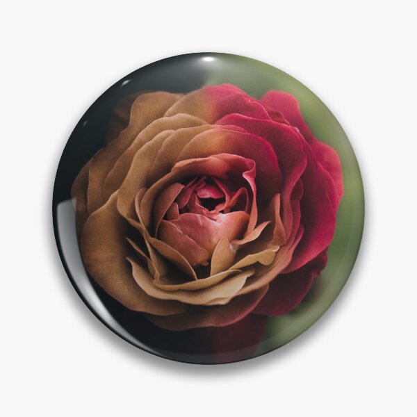 Item preview, Deep Dark Golden Rose designed and sold by EdgarInFocus.