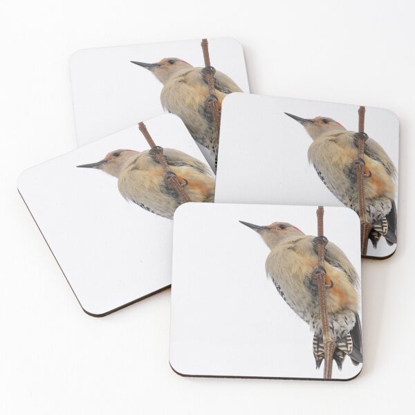 Item preview, Red-bellied Woodpecker designed and sold by InGFocus.