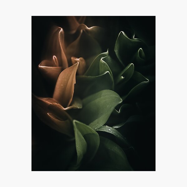 Item preview, Dark Green & Gold Shadow Leaves  designed and sold by EdgarInFocus.