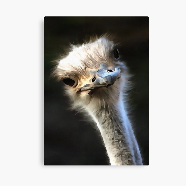 Item preview, Artistic Ostrich Portrait With Goofy Expression designed and sold by taiche.