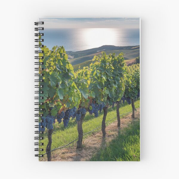Artikelvorschau, Weinbergwind entworfen und verkauft von BCD BRANDS.