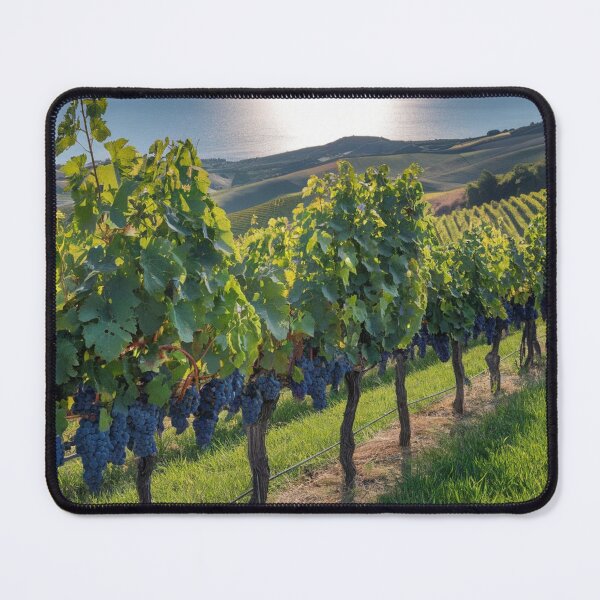 Artikelvorschau, Weinbergwind entworfen und verkauft von BCD BRANDS.