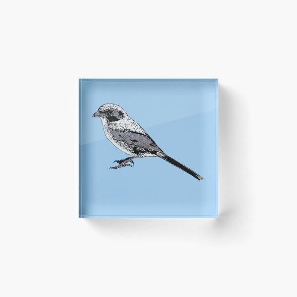 Item preview, Loggerhead Shrike Black Alternate Design  designed and sold by designsasstultd.