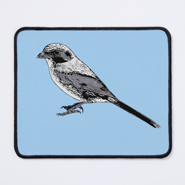 Item preview, Loggerhead Shrike Black Alternate Design  designed and sold by designsasstultd.
